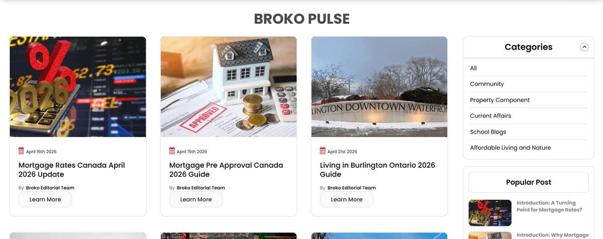 Broko Pulse screenshot